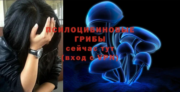 каннабис Беломорск